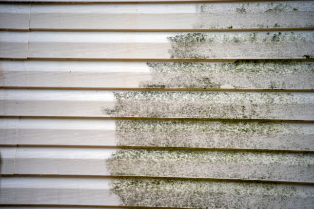 Best Foreclosure Cleanout  in Dilworthtown, PA